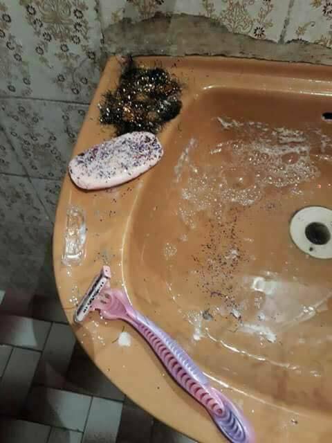 hizo hizo